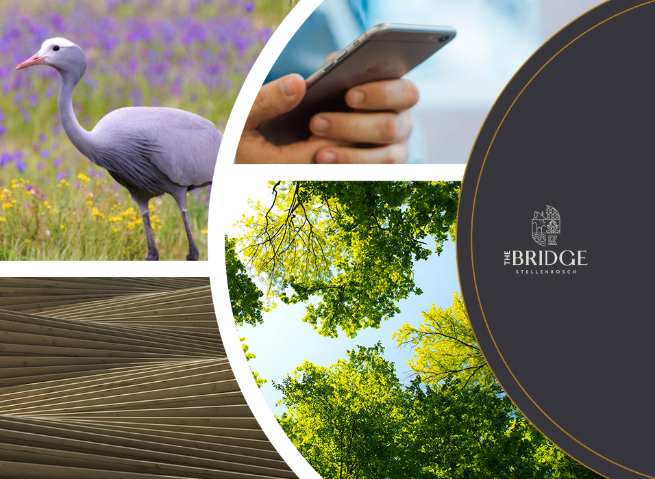 A Unique Opportunity